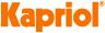 shopferramenta it p652621-protezione-per-trapano-p100-250-fervi 042